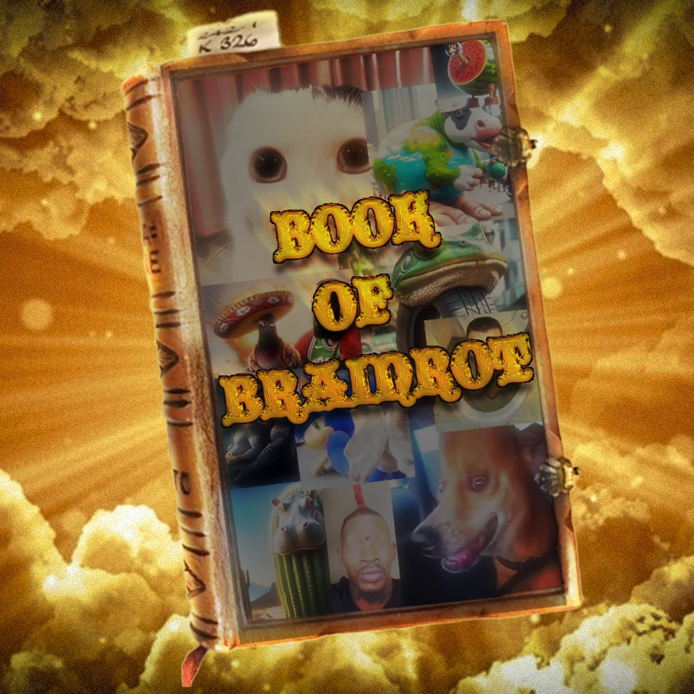 BOBR