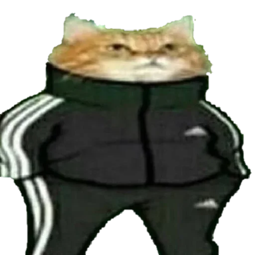 MEOW