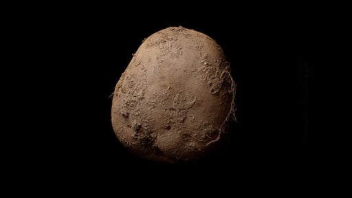 Potato
