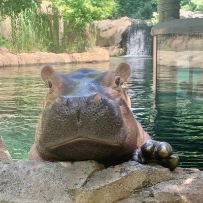 ZOO