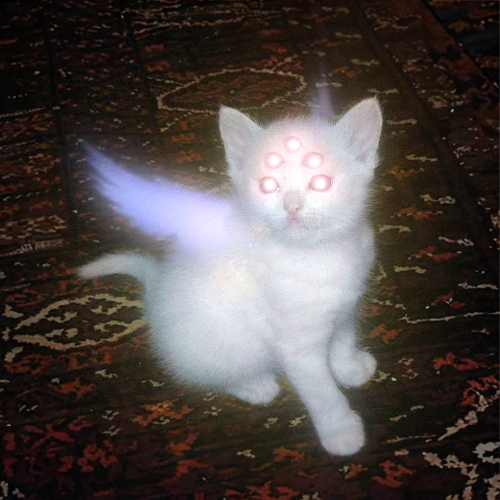 prophecy