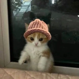 lulu