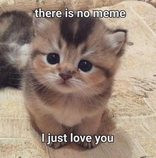 ILY
