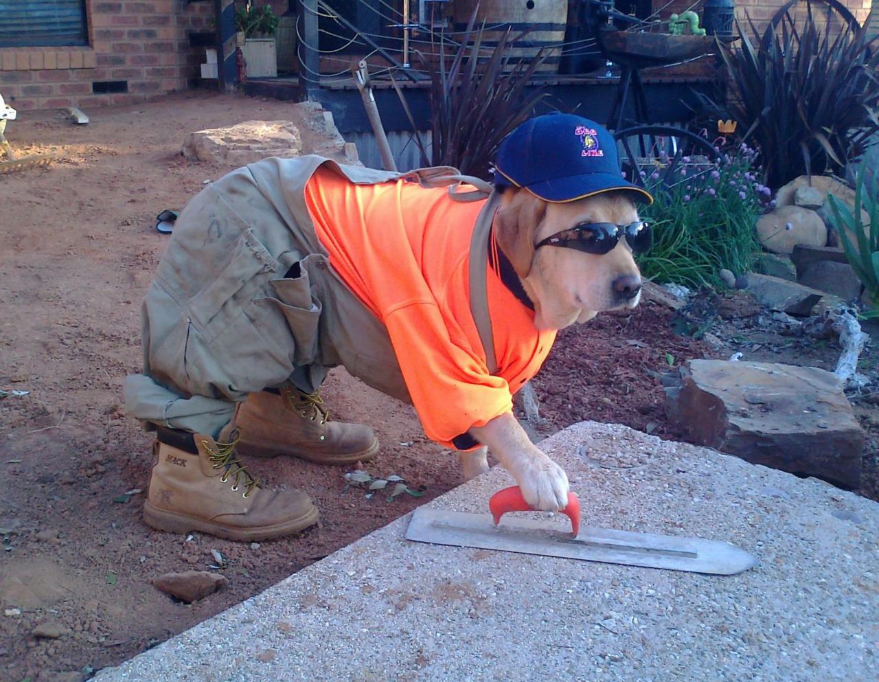 WIFJOB