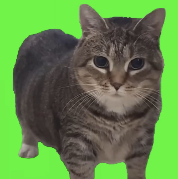 CATTURN