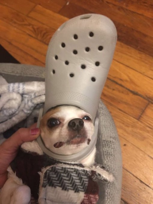 CROCS