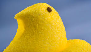 PEEP