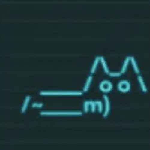 Bitcat