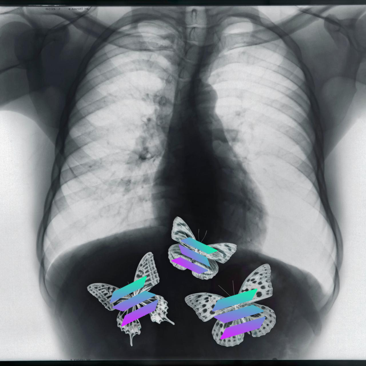 solflies