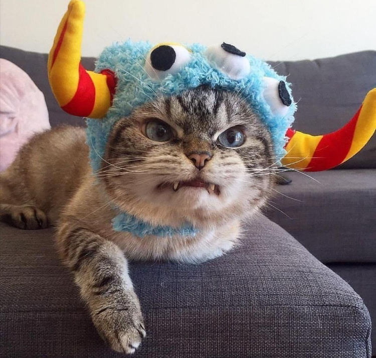 MONSTER
