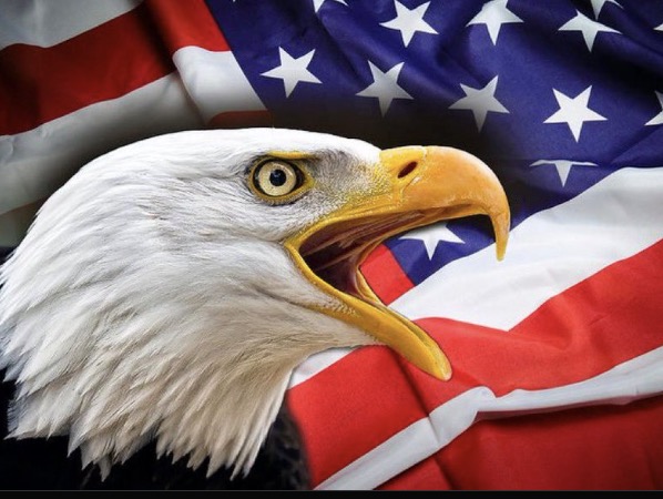 BALD EAGLE