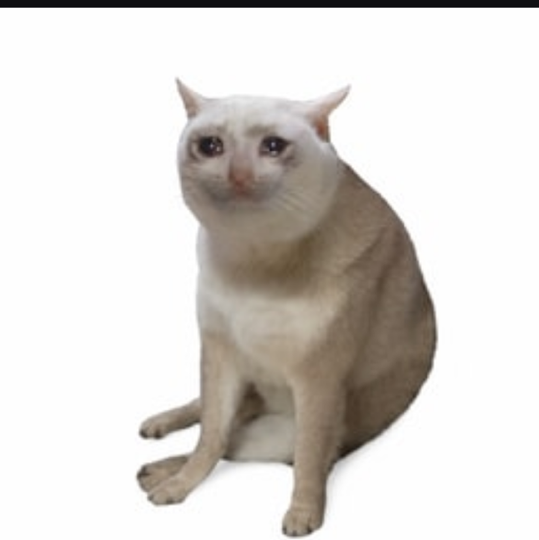 cashcat