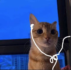 听歌小猫