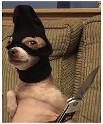 robber
