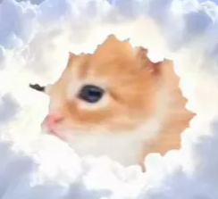 gary