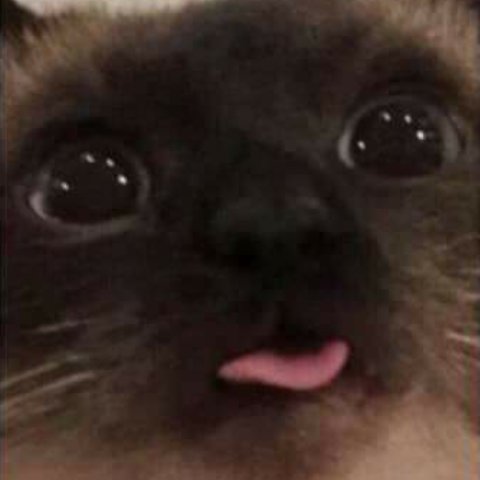 $blep