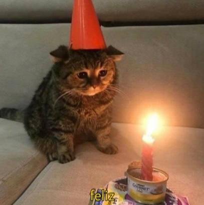 LONECAT