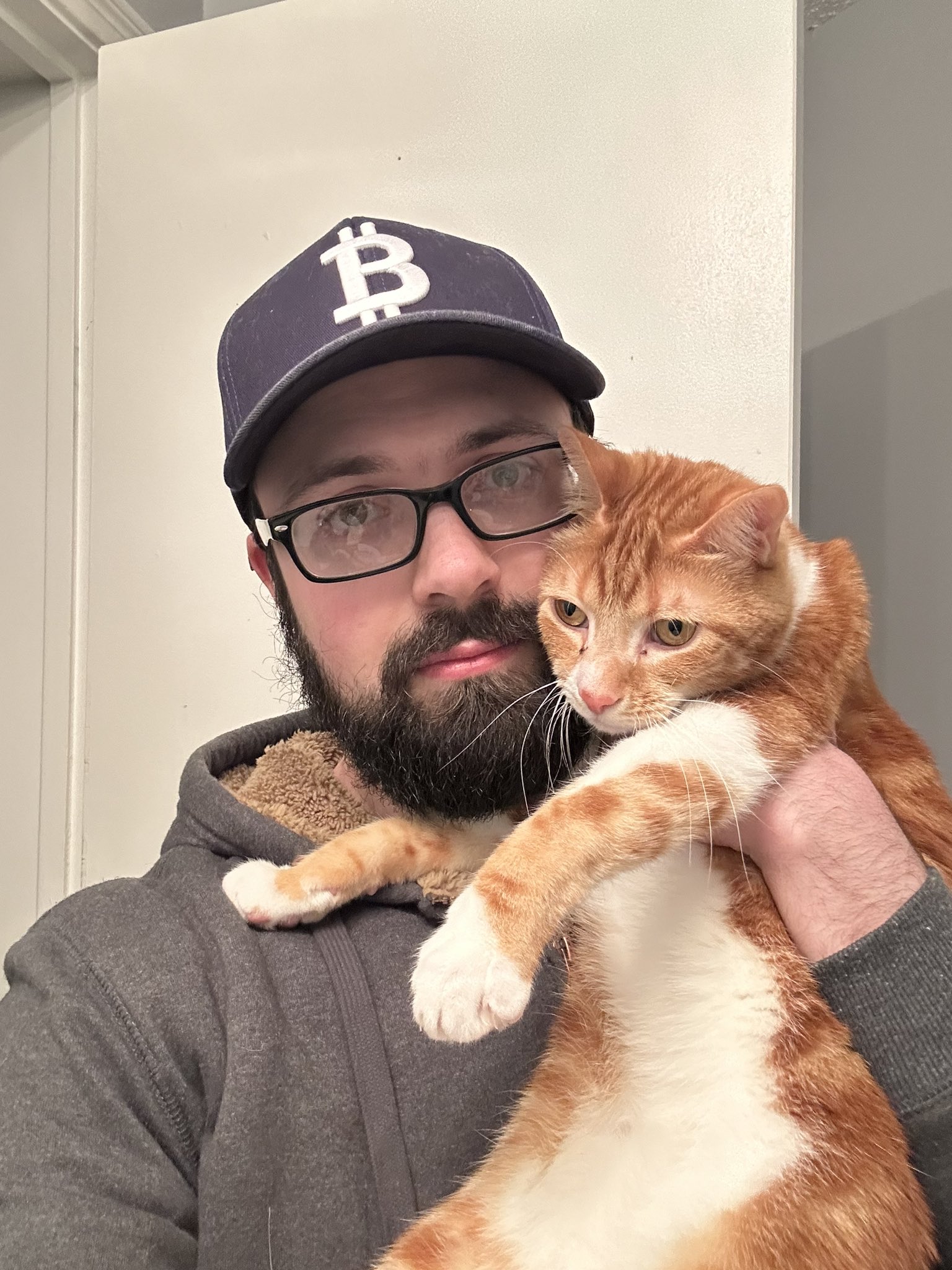 Bvikwifcat