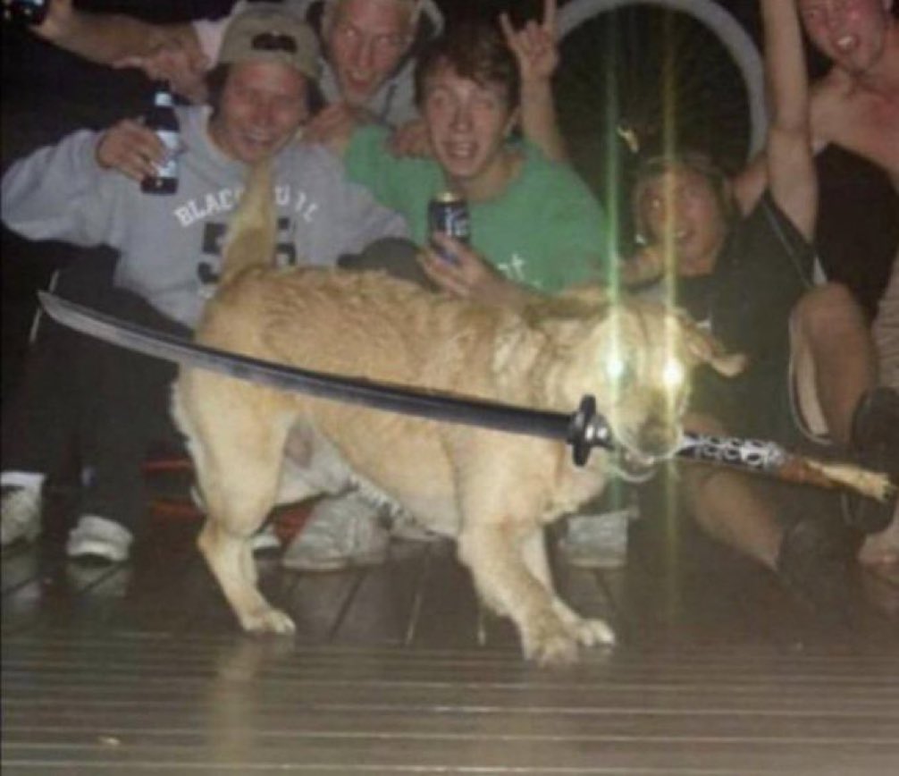 SwordDog
