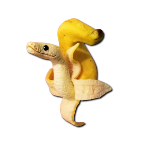 SAN