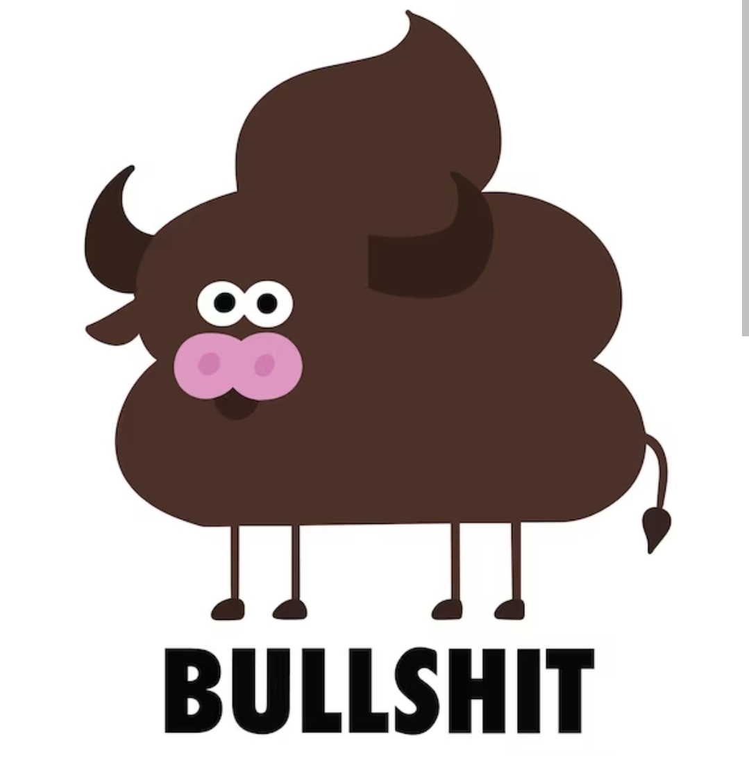 BULLSHIT
