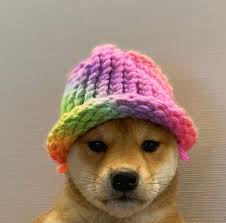 gaywifhat