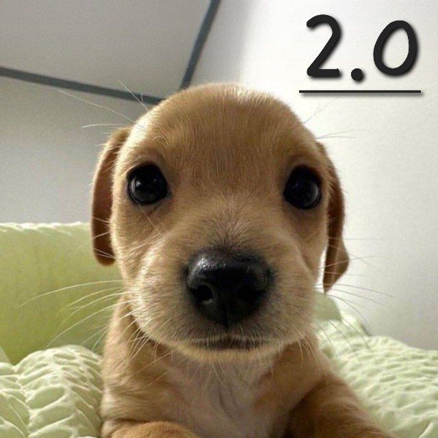 BILLY2