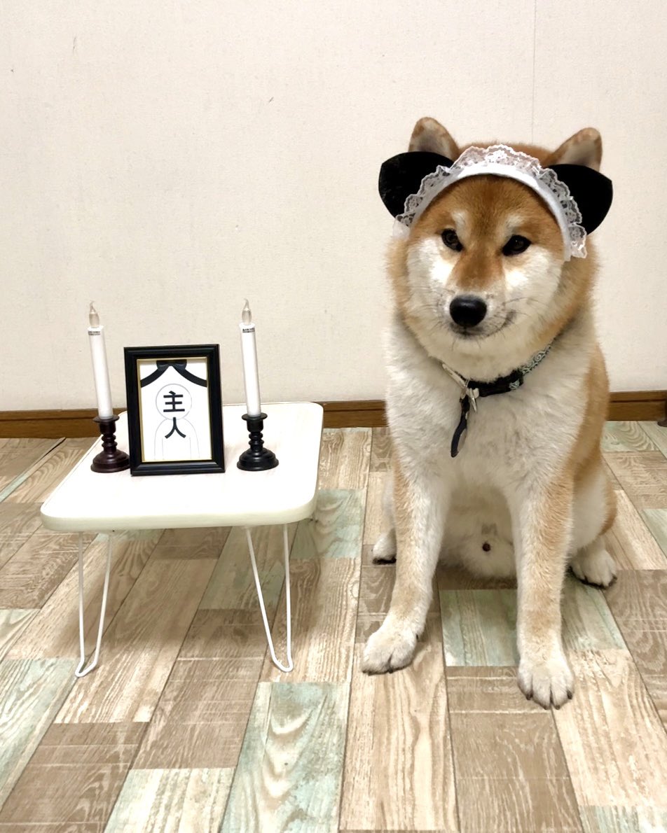 Koma