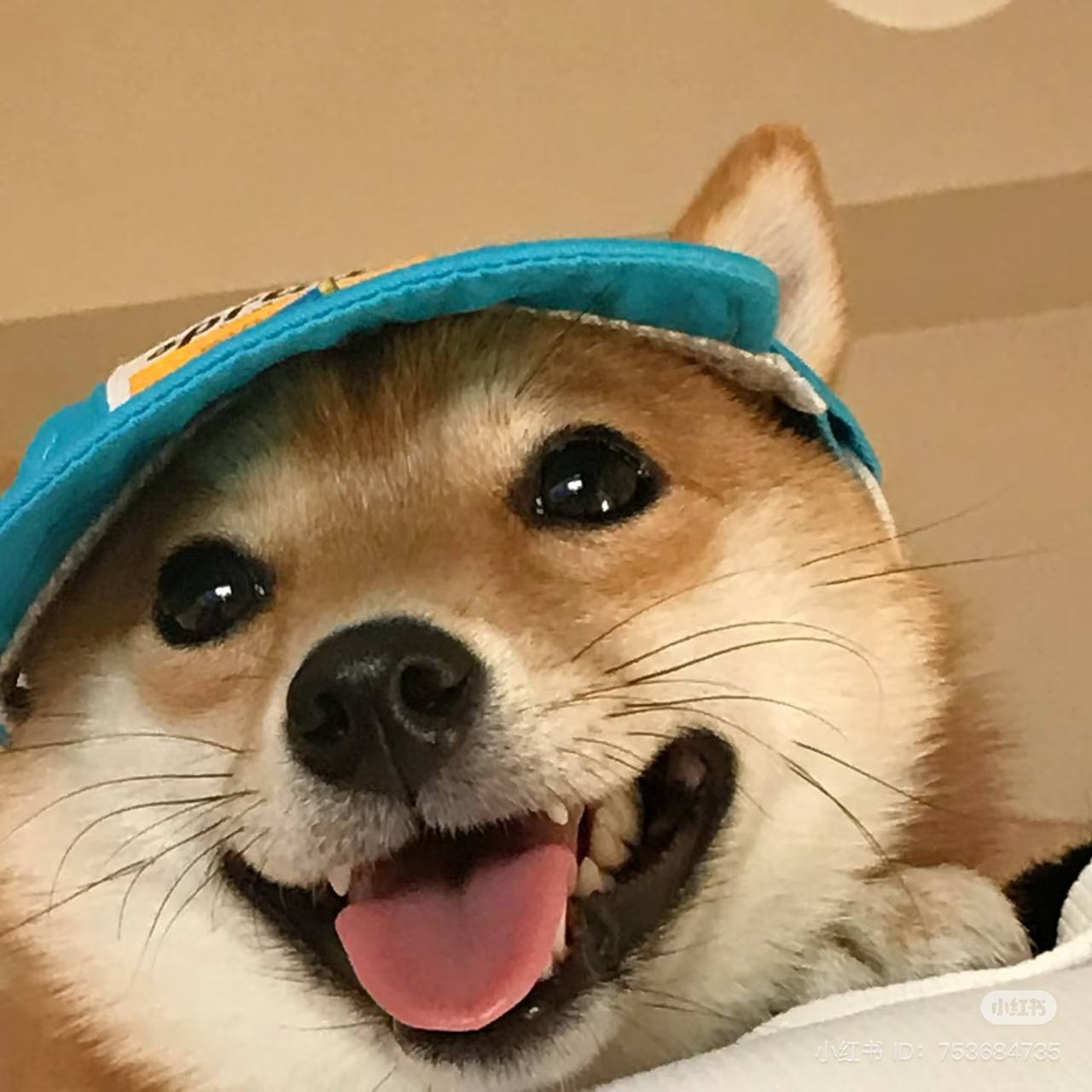 FORTUNE