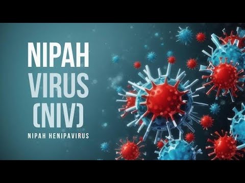 NIV