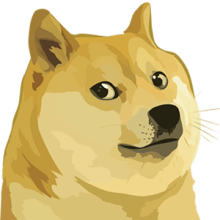 DOGE