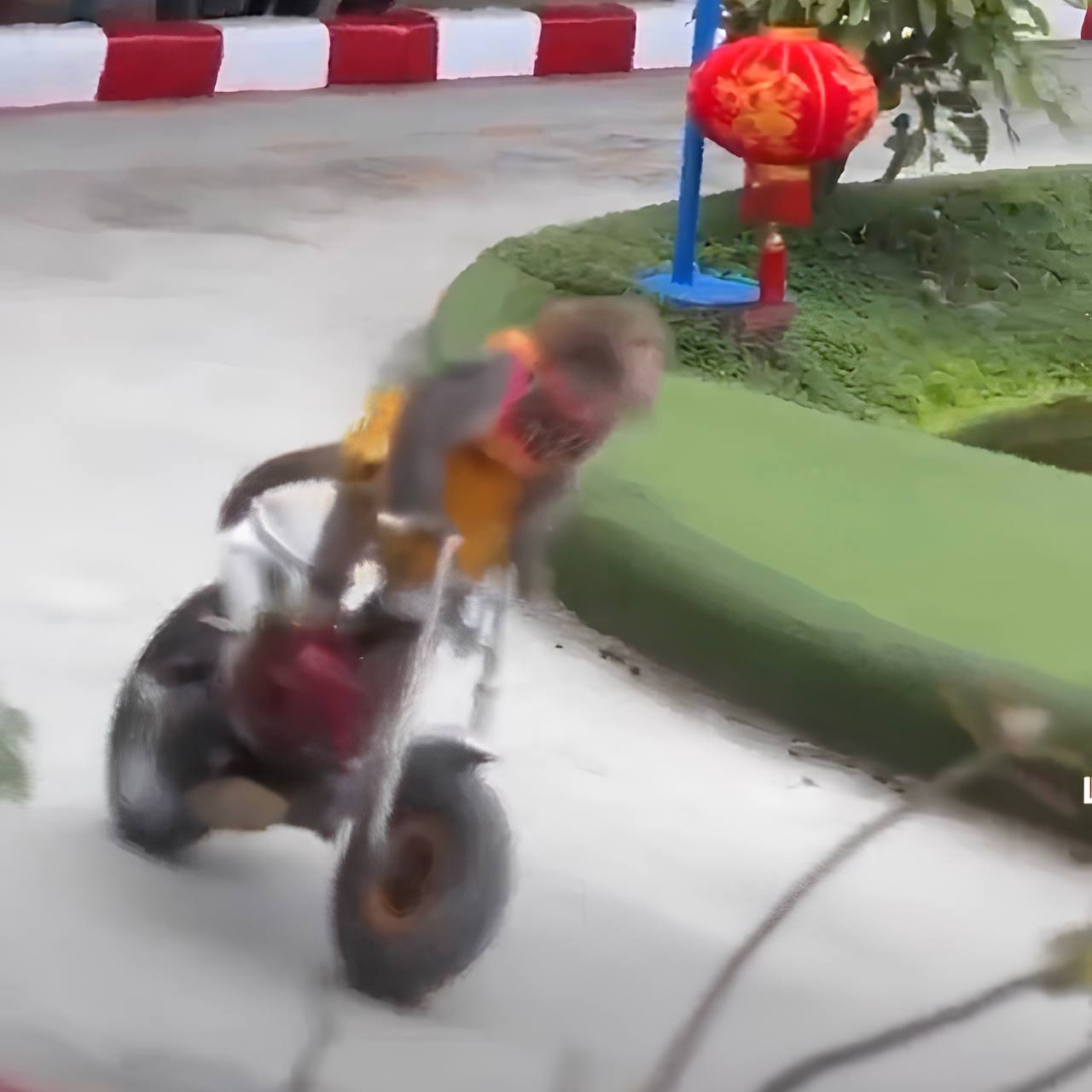 VMR