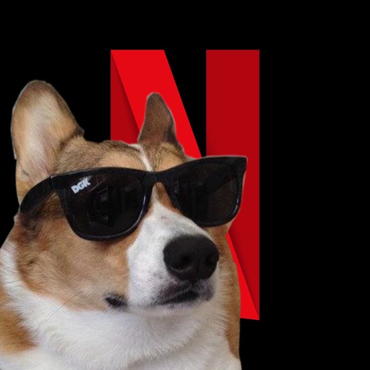 dogu