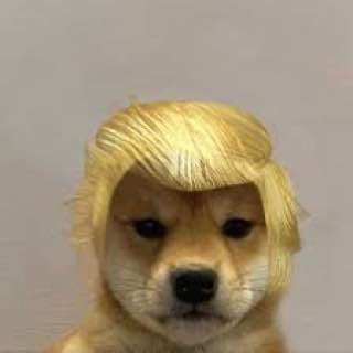 DOGA