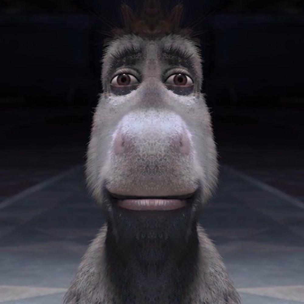 DONKEH