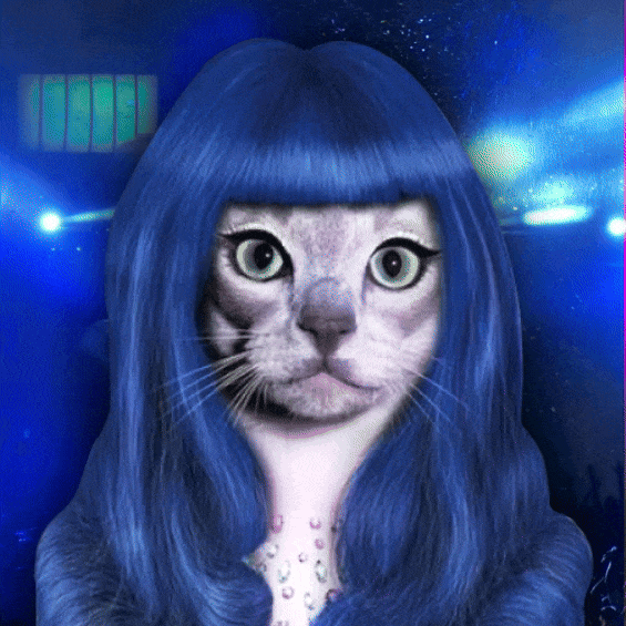 Kitty