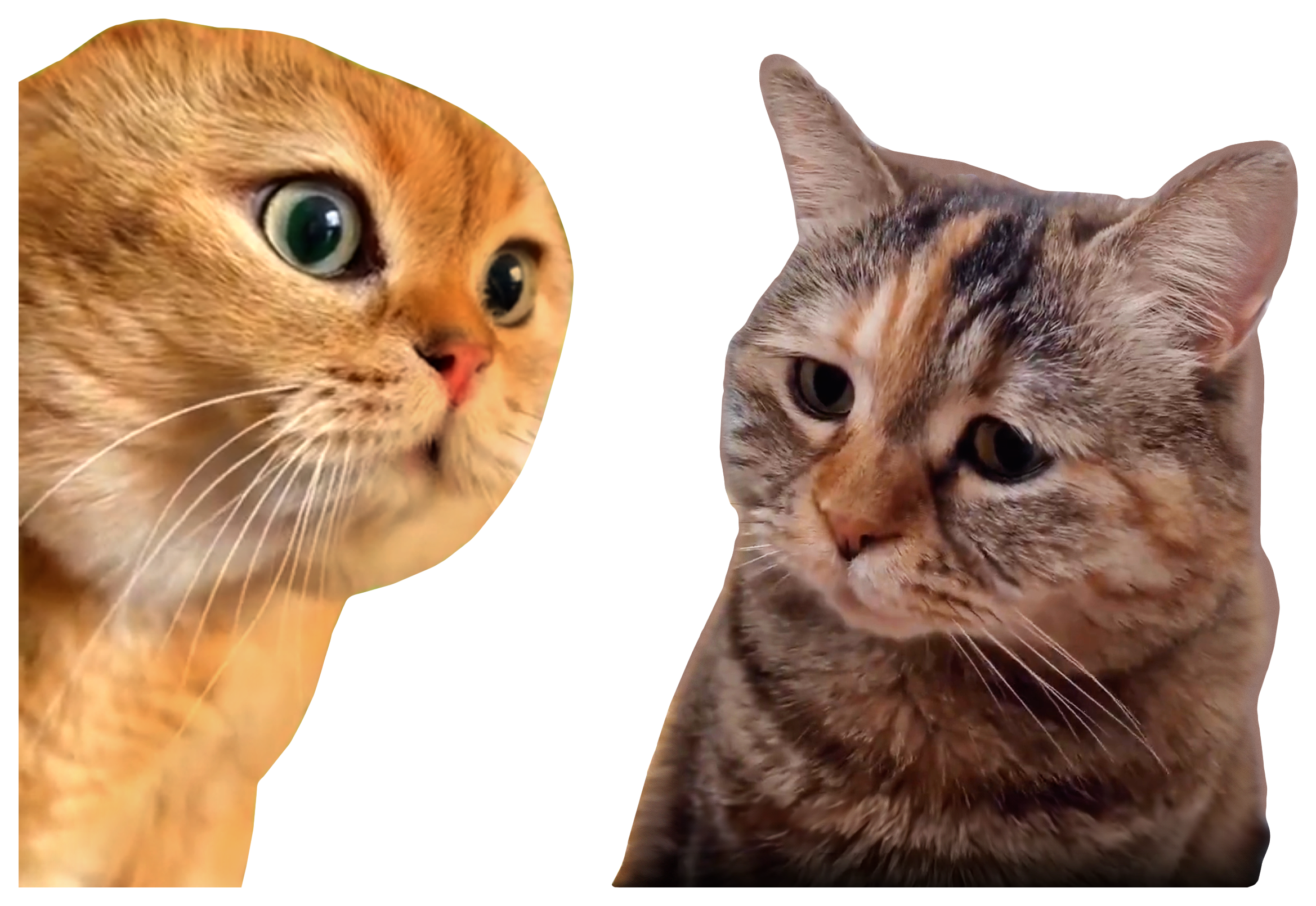 $TWOCAT1