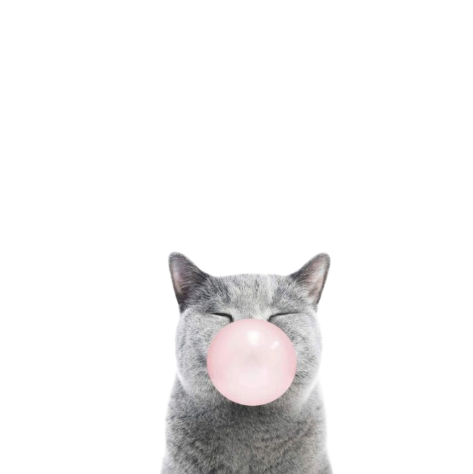 gum