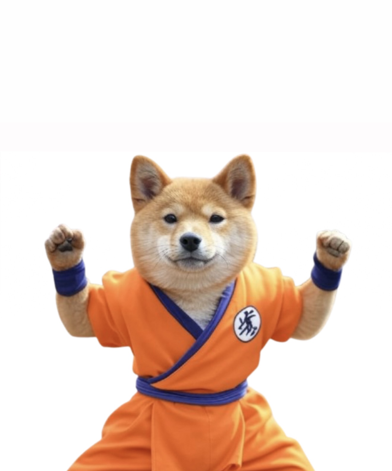 Doku