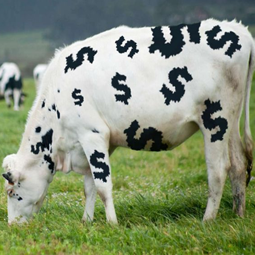 cashcow