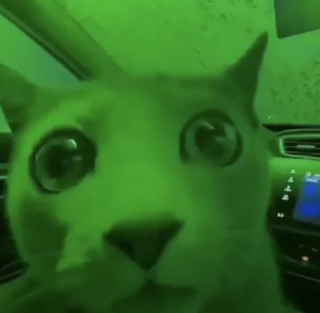 MarketCat