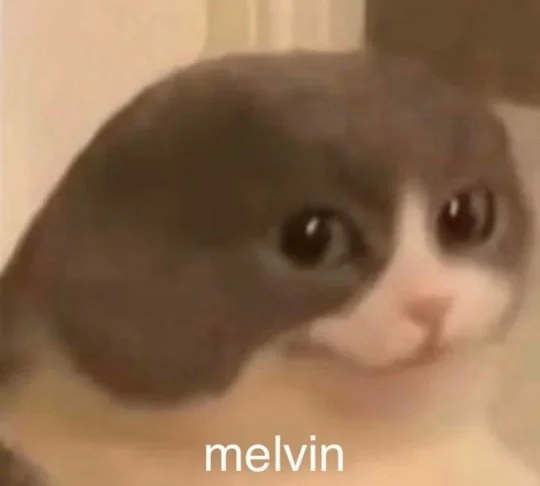 MelvinCat