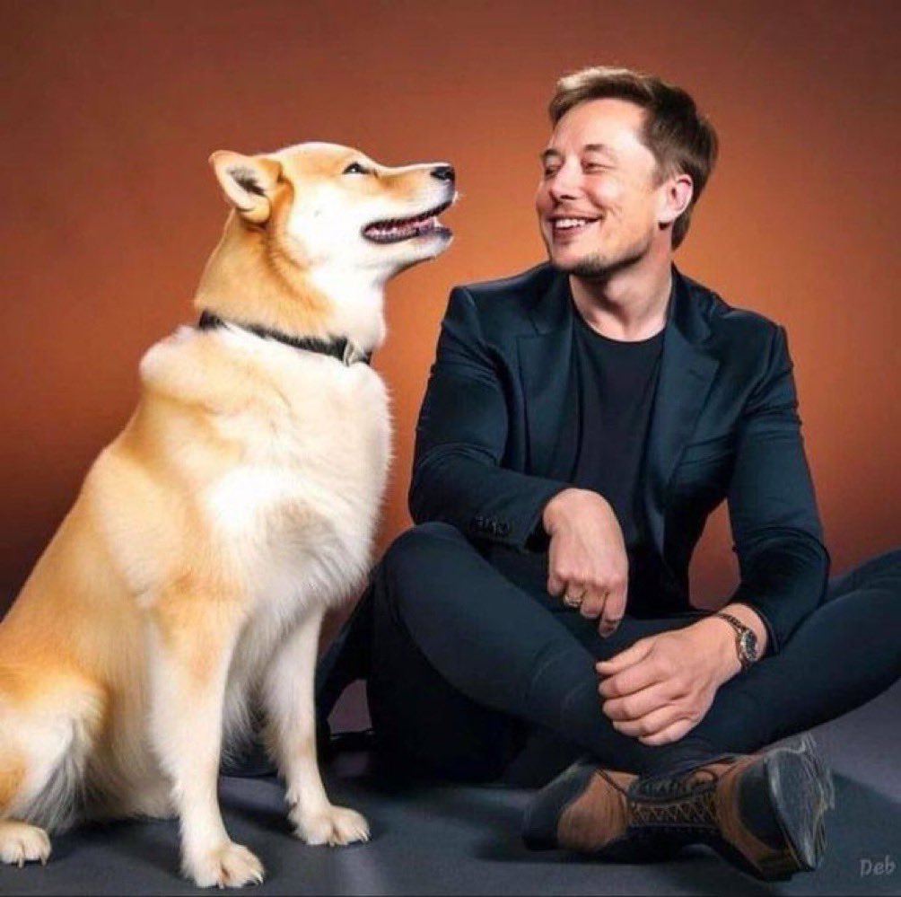 🐺