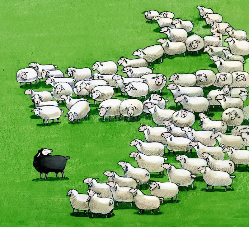 HERD