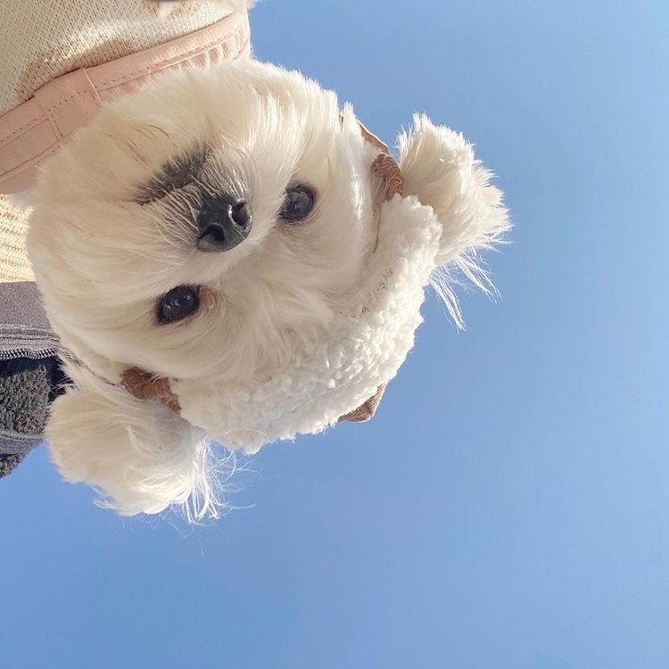 hey