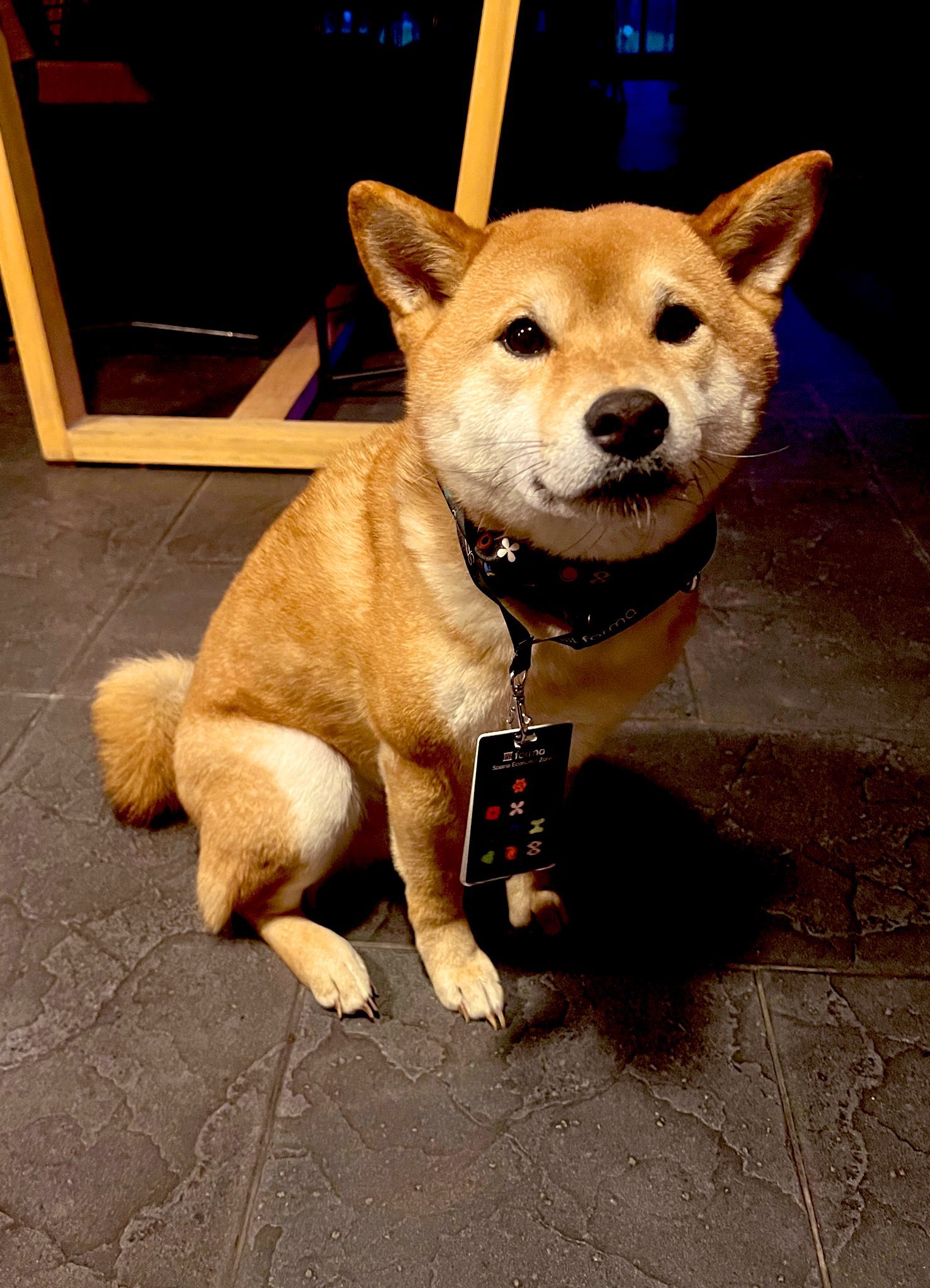 YOSHI