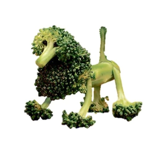 BROCCOLI
