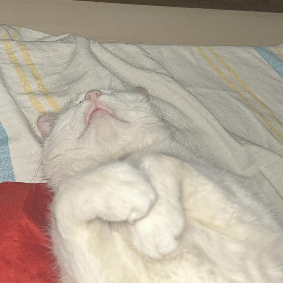 ded