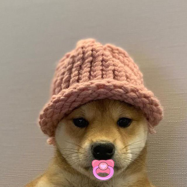 WIFD