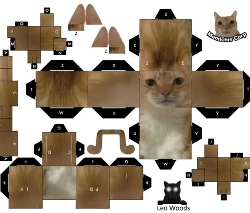 BYoCat